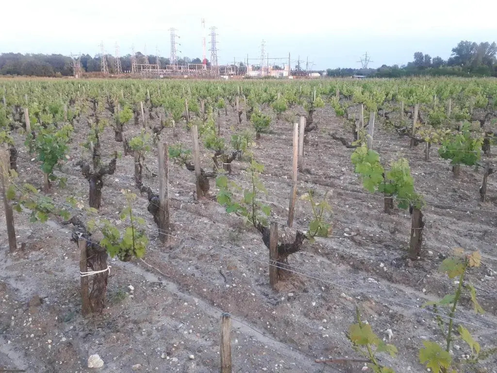 Chateau Gunes