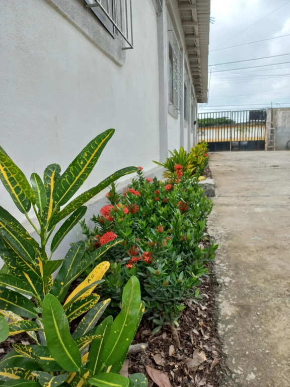 Habitaciones Grupales