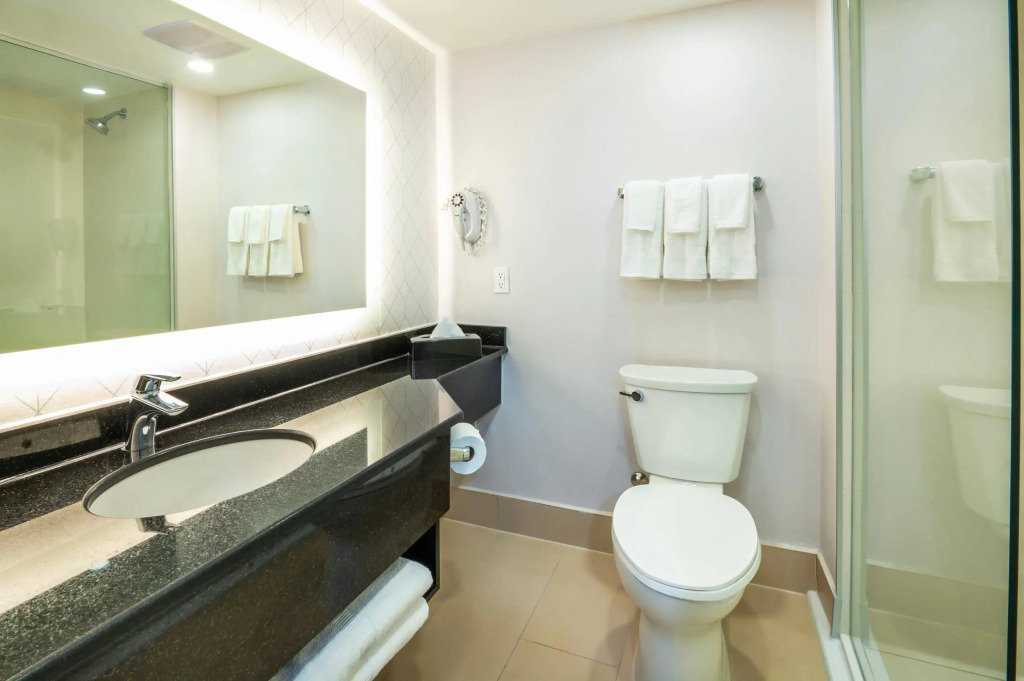 Comfort Inn & Conference Centre Toronto Airport