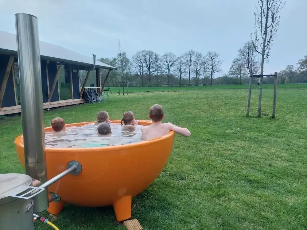 Luxury Lodge in Twente With Meadow Views