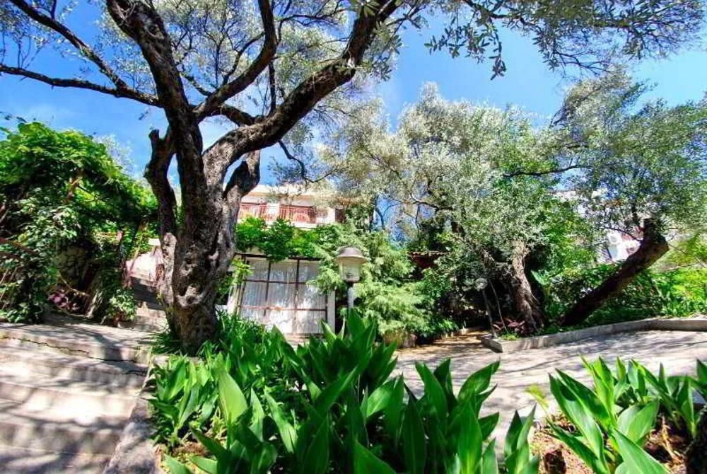 Guest House Elena