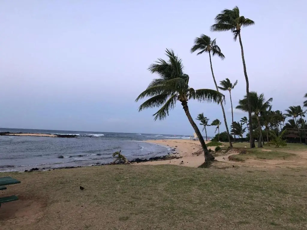 SPECTACULAR OCEANFRONT PENTHOUSE - Air Conditioned 3 Bedroom/3Bathroom