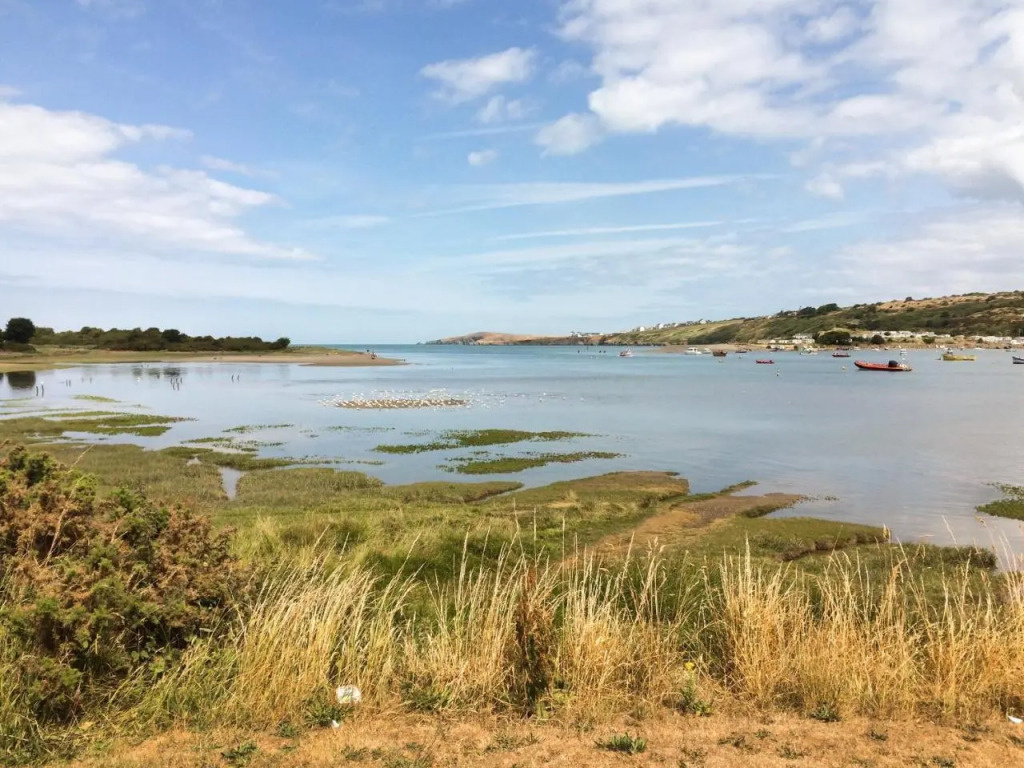 Teifi