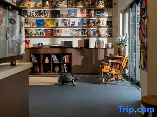 Yinzhu · Vinyl Record Homestay (Mangshi Dai Ethnic Ancient Town)