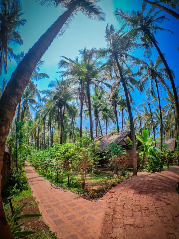 The Orchard Resort