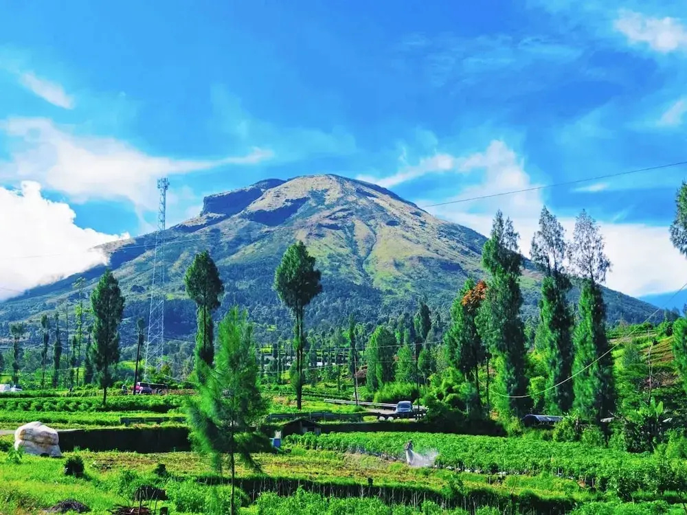 Miarzafa Cabin House DIENG