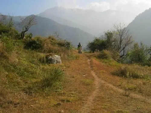 Janardan Homestay Nainital