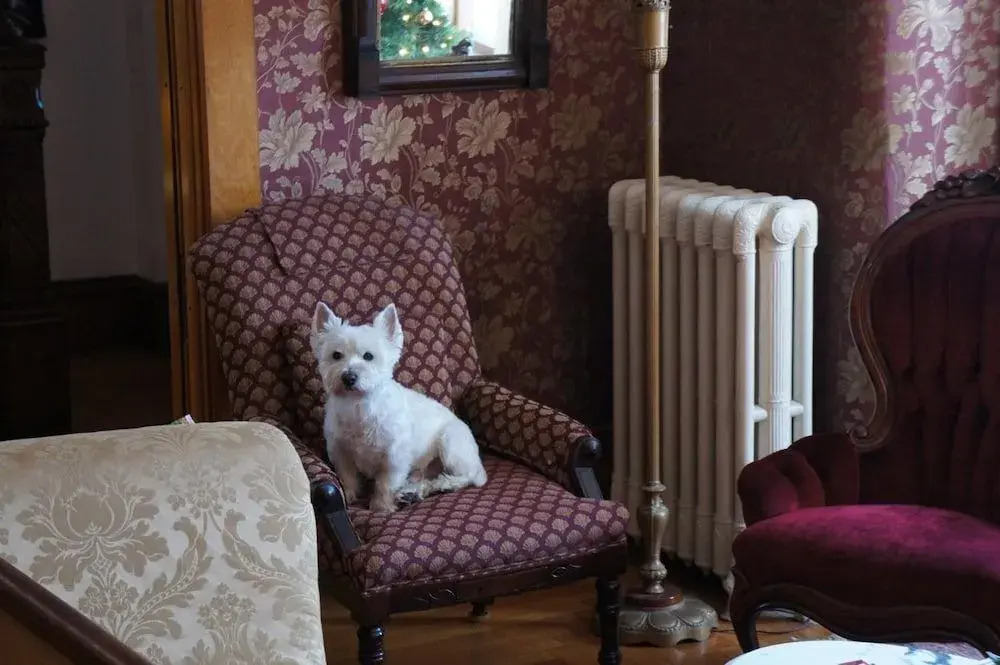 Maplecroft Bed & Breakfast