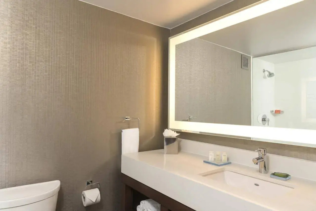 Skyline Hotel Detroit Airport, SureStay Collection by Best Western