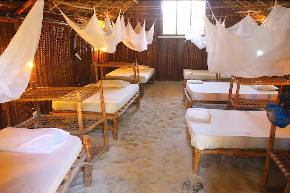 New Teddy's Place - Hostel/Backpacker