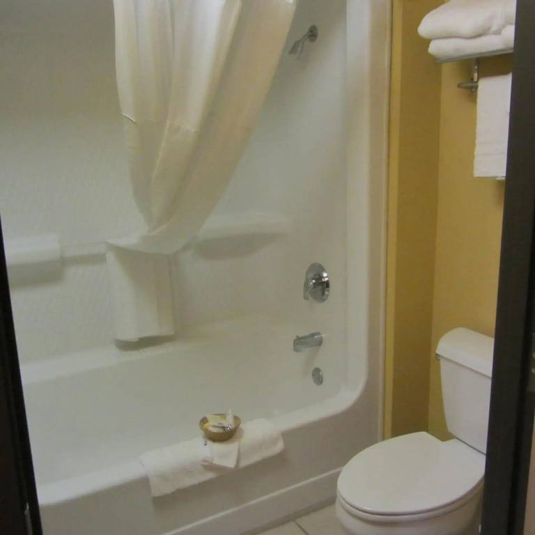 Microtel Inn & Suites by Wyndham Amarillo
