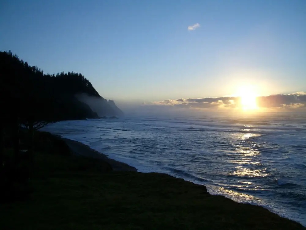 Bears Head