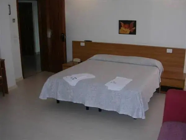 Hotel Ribot
