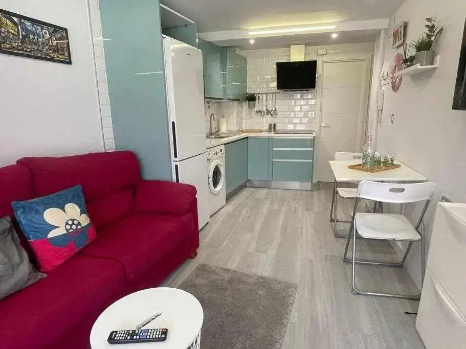 Loft centrico y reformado - ANTON ETXEA