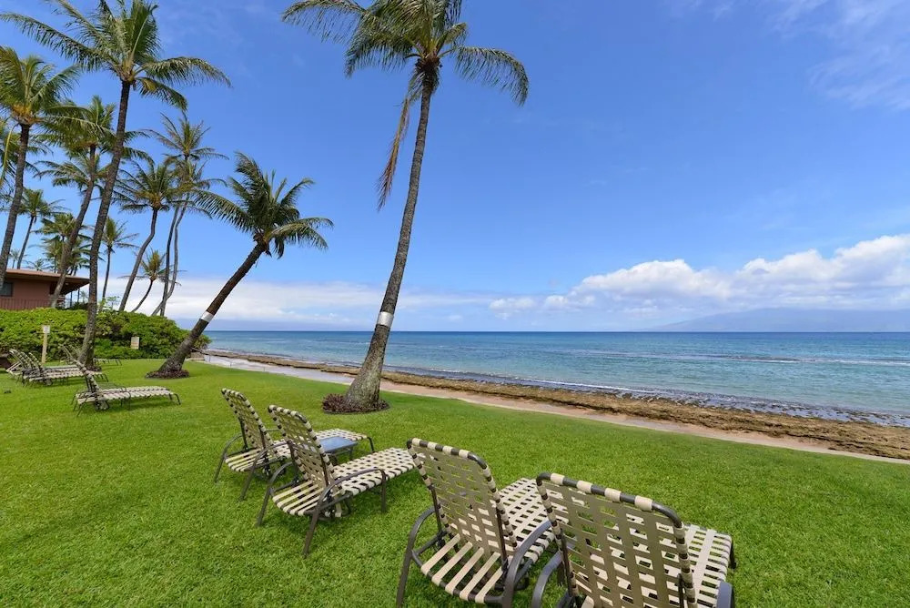 Paki Maui 415 by RedAwning