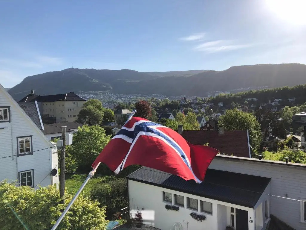 # 1 Mountain View