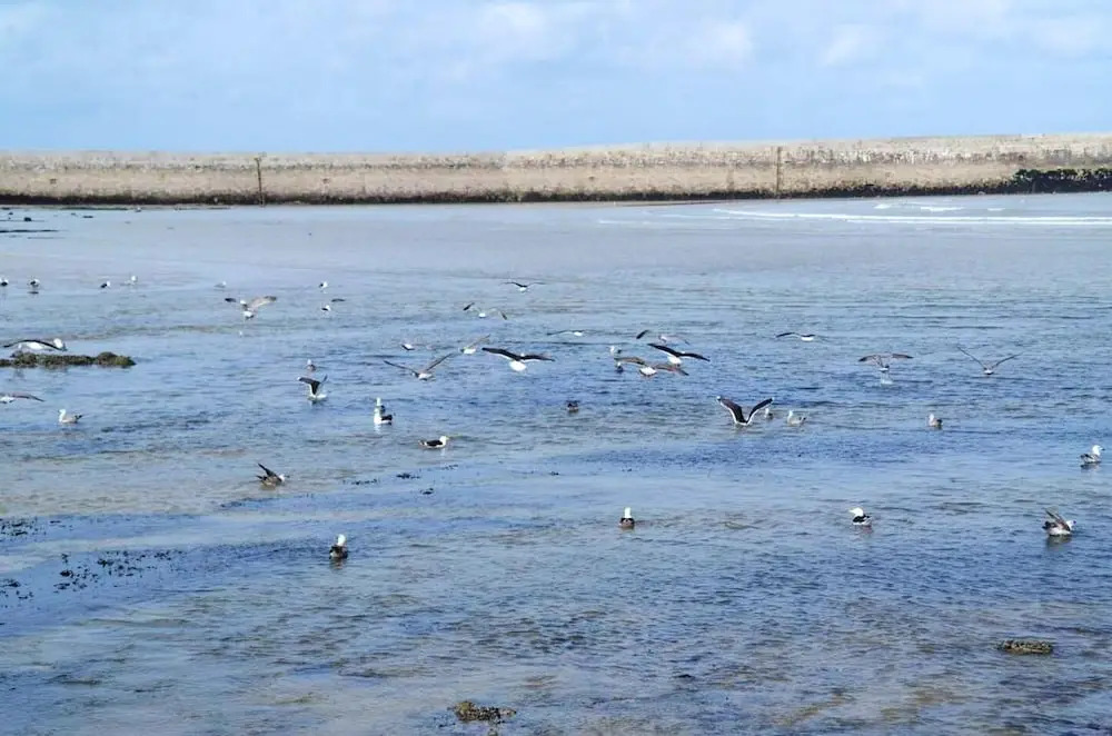 Apartment With one Bedroom in Port-en-bessin-huppain, With Wonderful sea View and Wifi - 6 km From the Beach