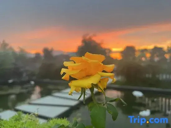 Floral Hotel·Nanjing Ruogu Hotel