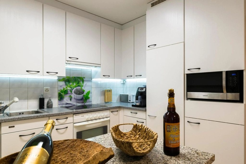 Cozy, Large, Modern, Apartment - in Basel
