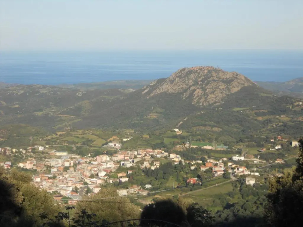 Il Mirto