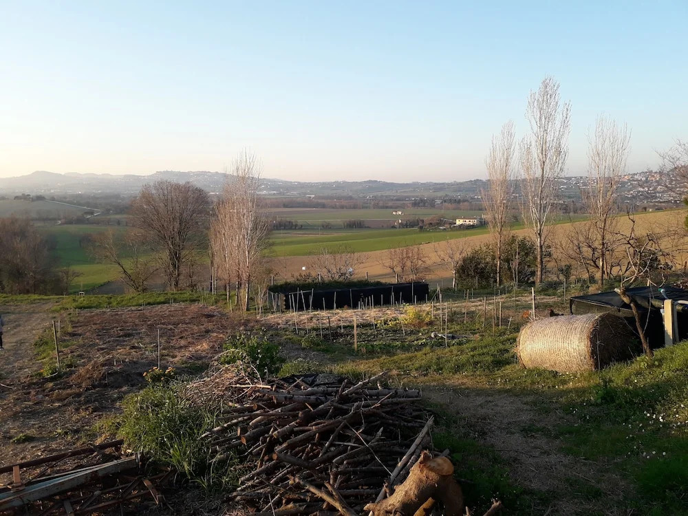 Boschetto Your Refuge Surrounded by Nature