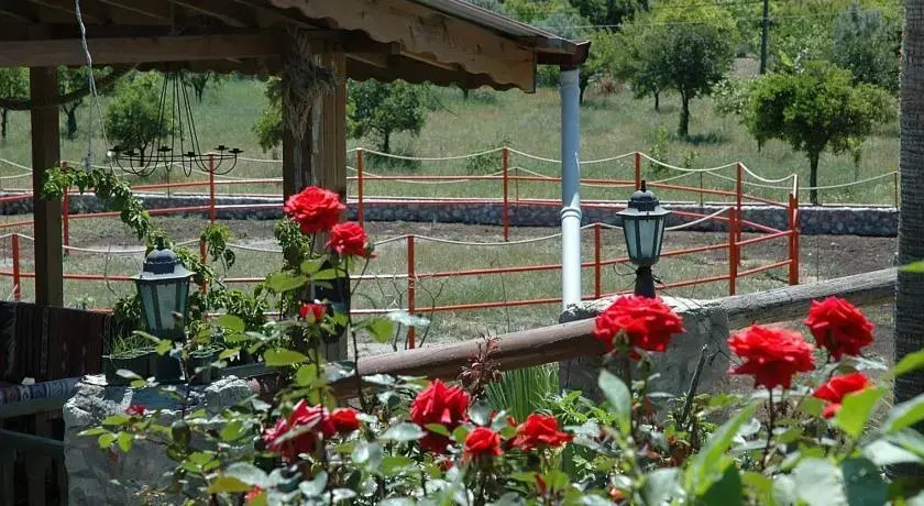 Isa M. Guesthouse