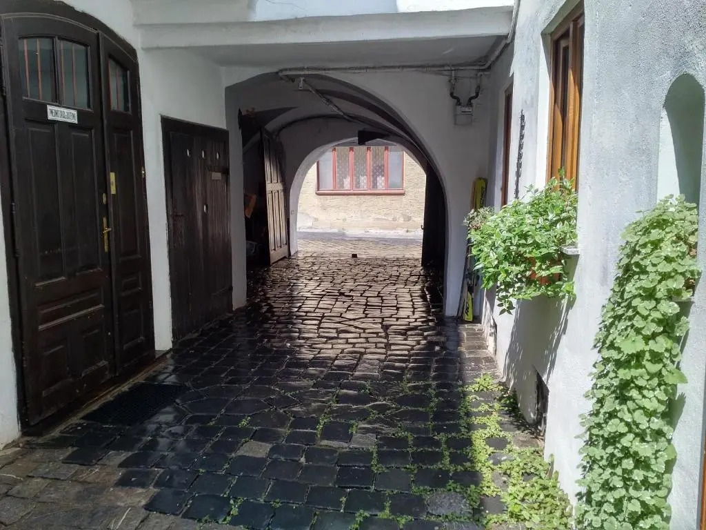 Guesthouse Postavarului