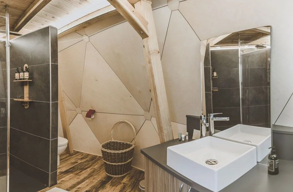 Alpin DHôme Hôtel & Spa