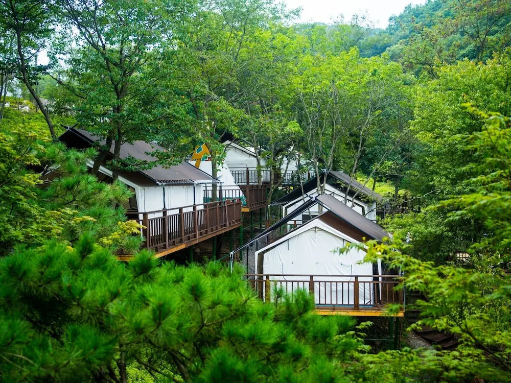 Dongwha Healing Camp