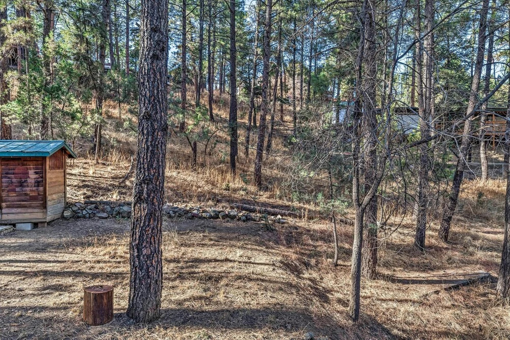Ruidoso Alpine Retreat - 1 Mi to the Main Street!