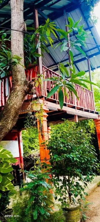 Sigiri Sky Home & TreeHouse