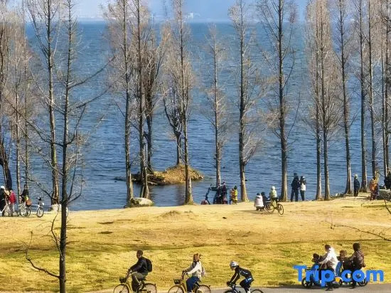 Dali Mountain Lake Seaview Homestay