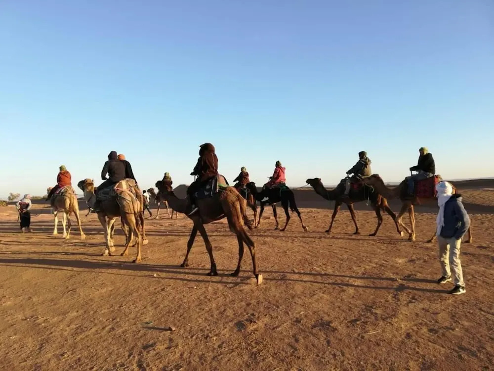 Camp Lguidi Tours