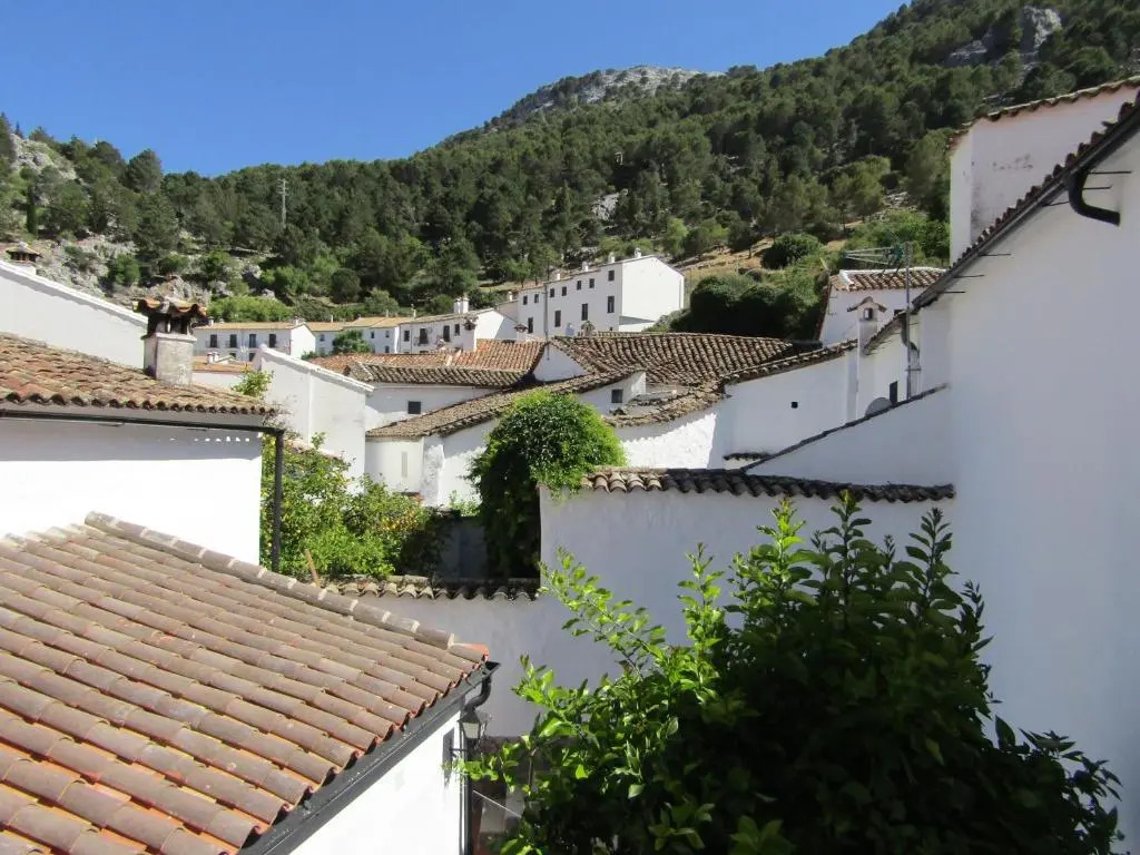 La Casa 5