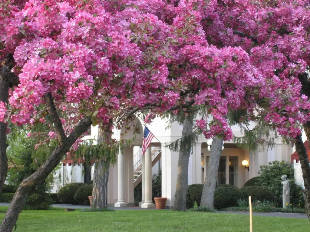 Geneva On The Lake Boutique Resort Hotel
