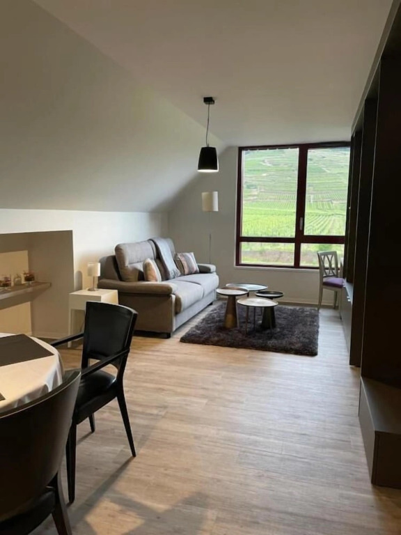 Les Appartements du Vignoble