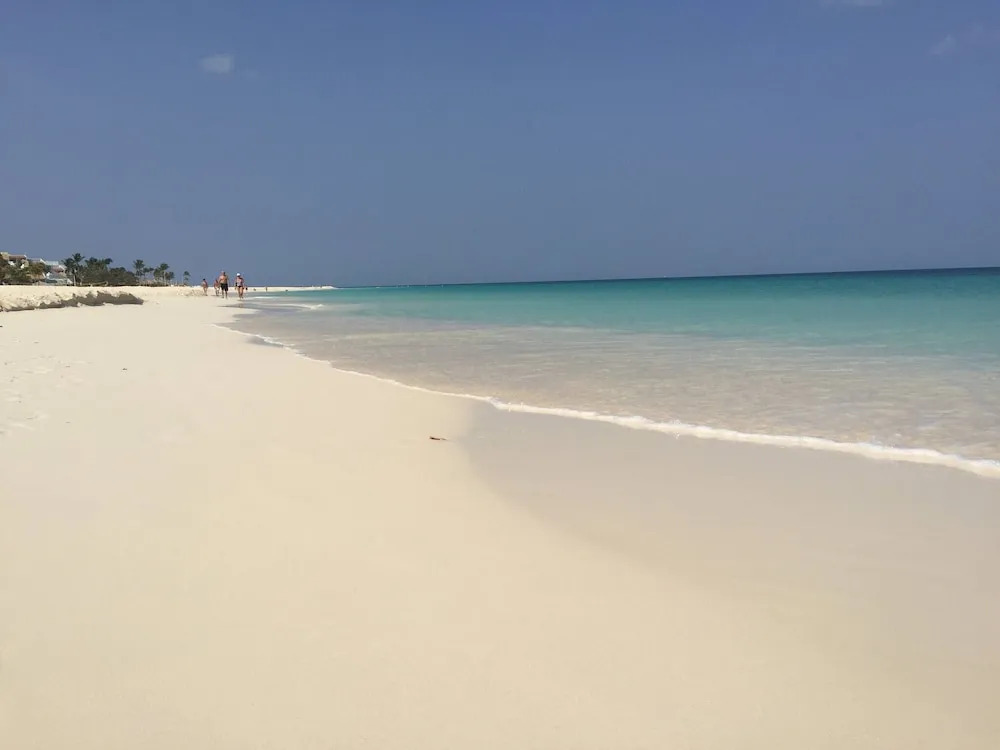 Acozy Nice Studio Palm Beach,wifi Free,beach Close