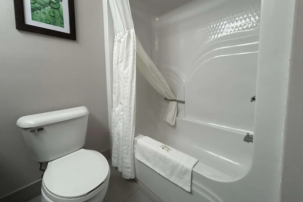 Quality Inn & Suites Tarboro - Kingsboro