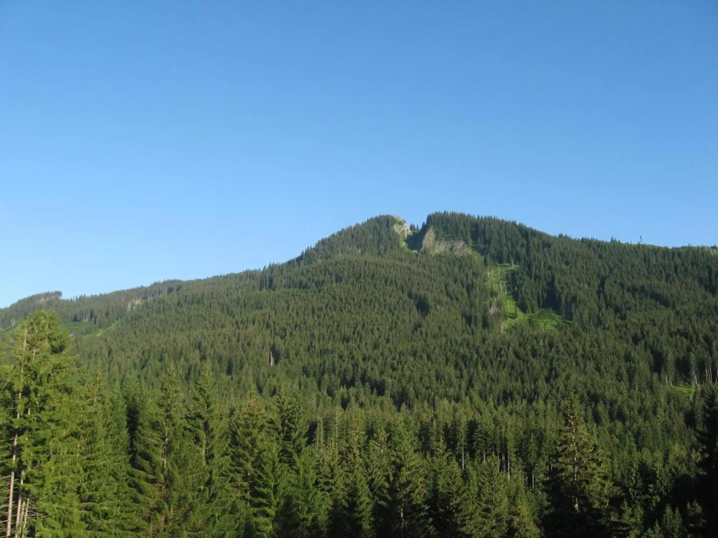 Bergliebe