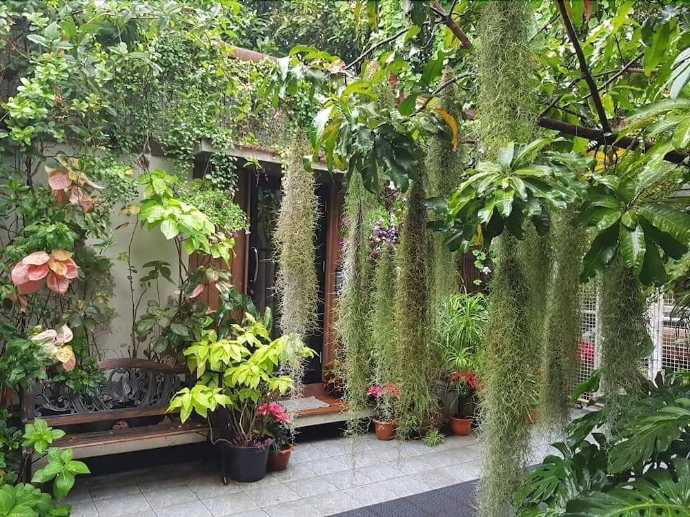 37 Nature House