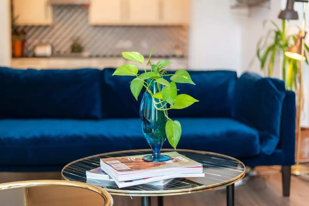 Bright Tranquil 1 Bed Flat in Peckham