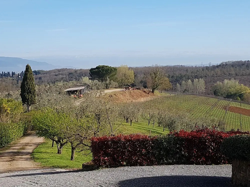Villa Delia Hotel and Cooking School