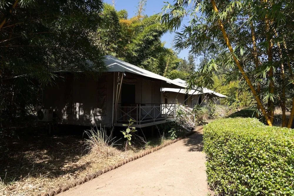 Bagh Tola Bandhavgarh