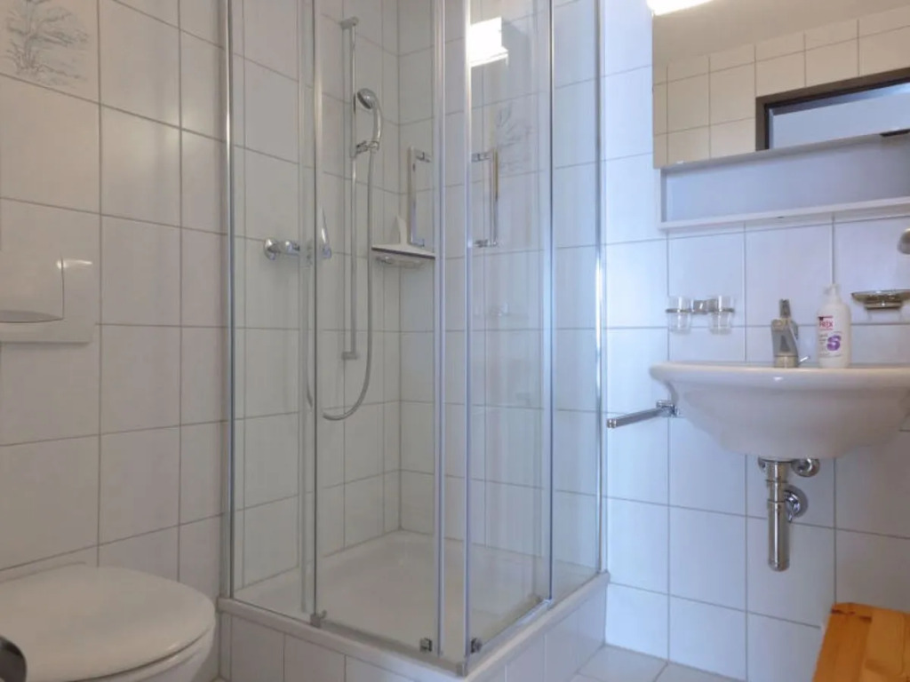 Apartment Rose Wengen 23353