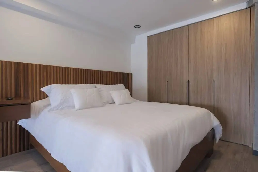 NOK Luxury 1 BR Duplex in Virrey