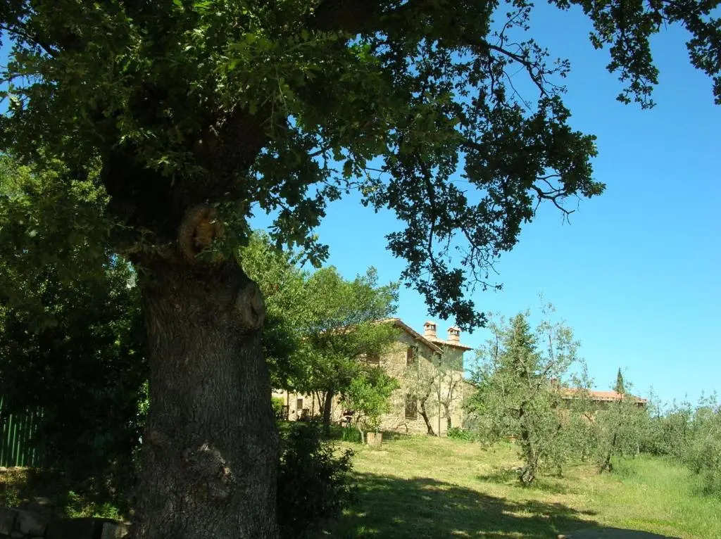 Casa Vacanze Porta Vecchia