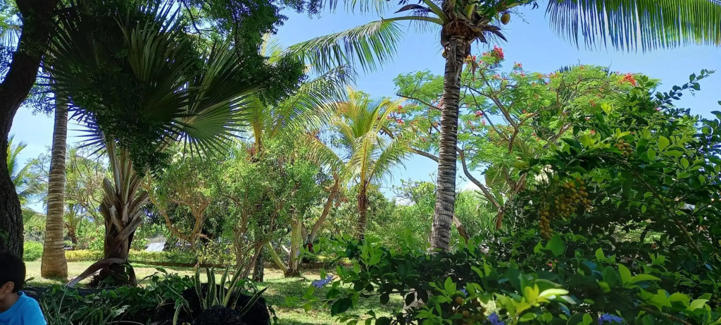 2 bedrooms appartement with shared pool enclosed garden and wifi at Grande Gaube 1 km away from the beach