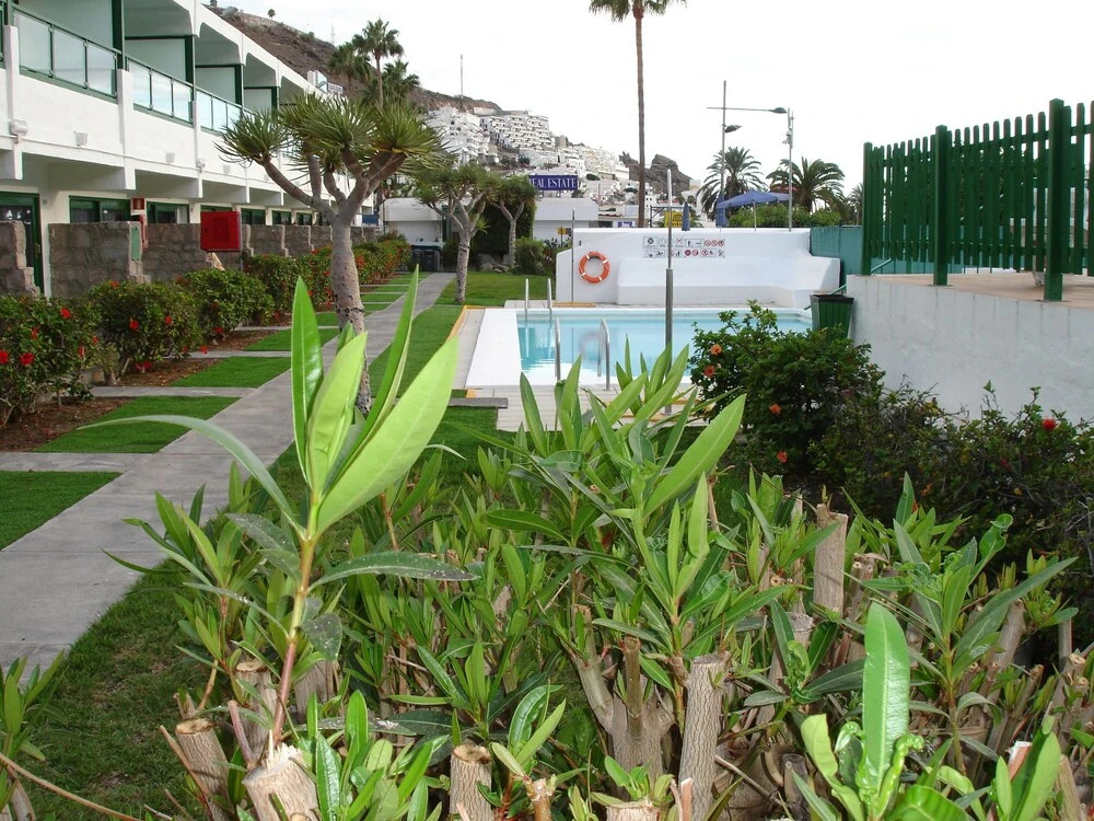 Apartamentos Florida Gran Canaria Adults Only