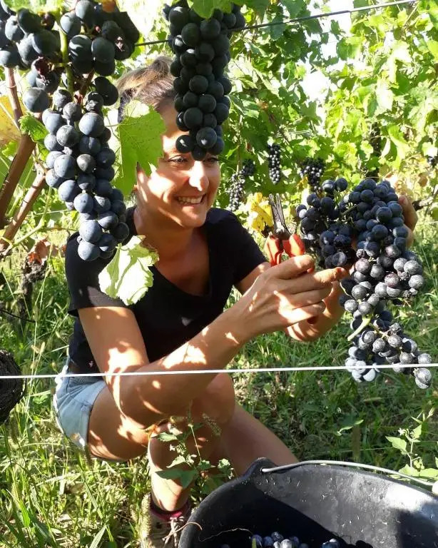 Domaine Jacqueline Père & Filles