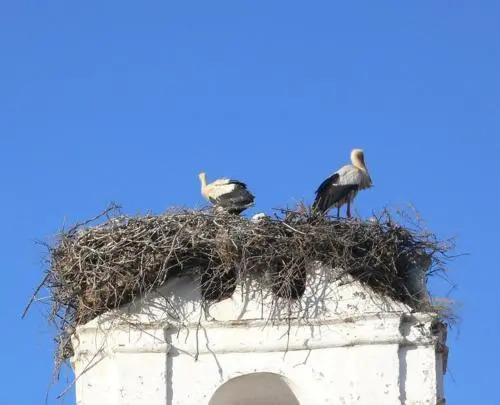 Alandroal Guest House, Hotel